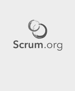Professional Scrum Developer